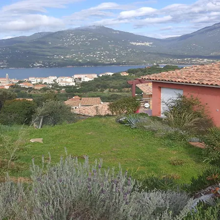 Mika De Machja Propriano (Corsica)